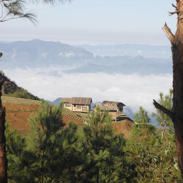Family terraces and cafés for calm evenings in Toronto
